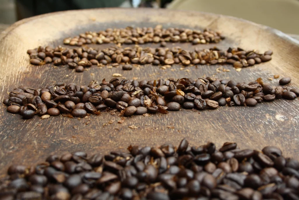 coffee plantation bali