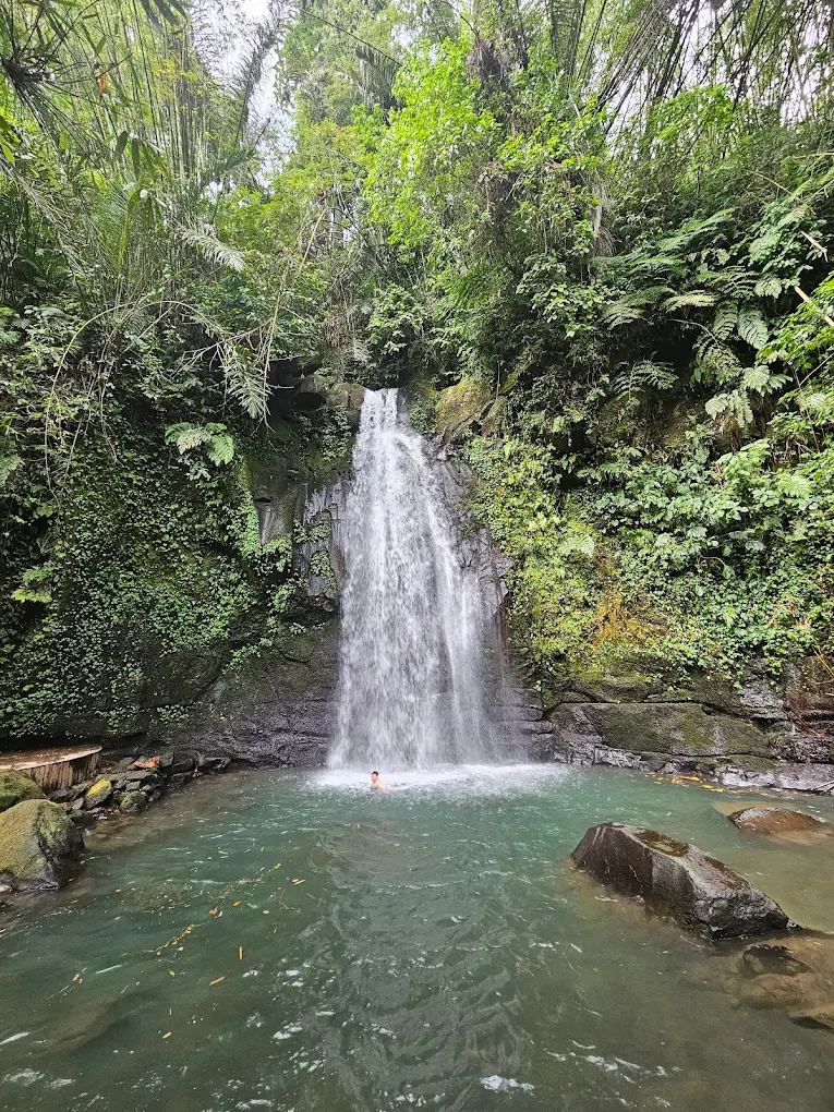 ulu petanu waterfall bali